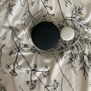 Brand New Google home Nest Mini 🏠